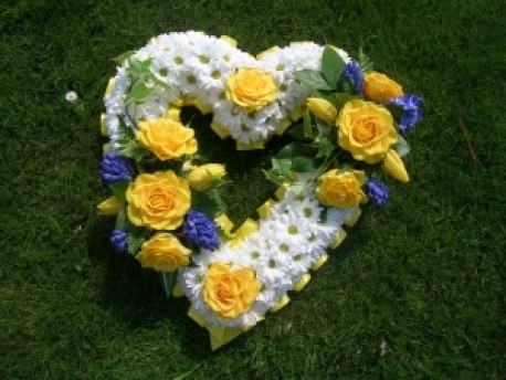 open based heart